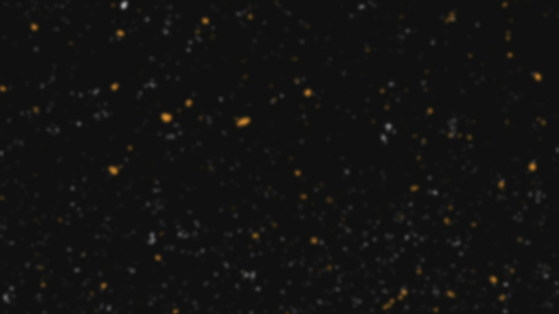 how to use mclaren bug and tar remover